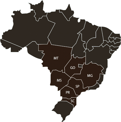 ÁREA DE ATUAÇÃO